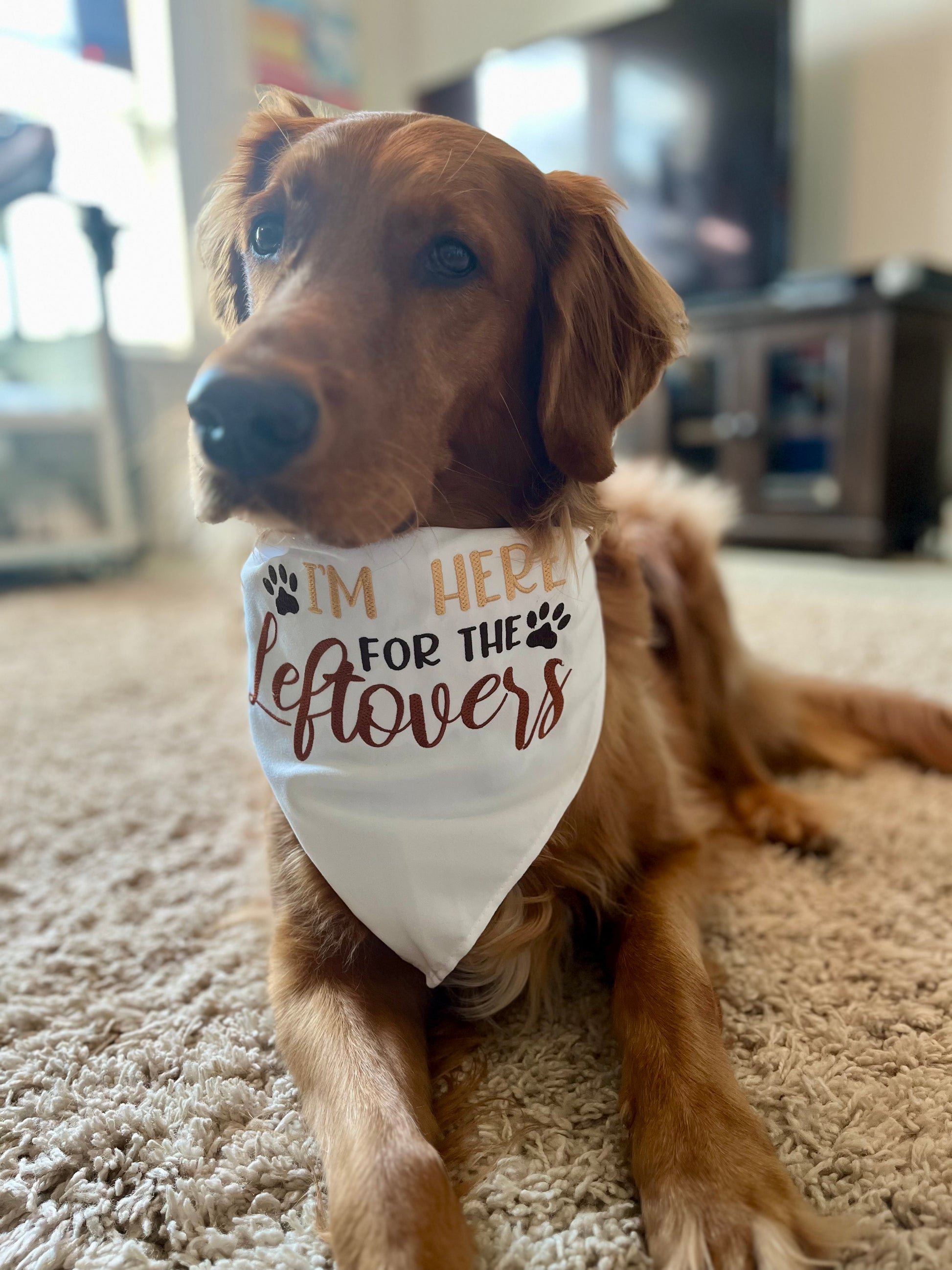 Embroidered dog bandana-I'm here for the Leftovers