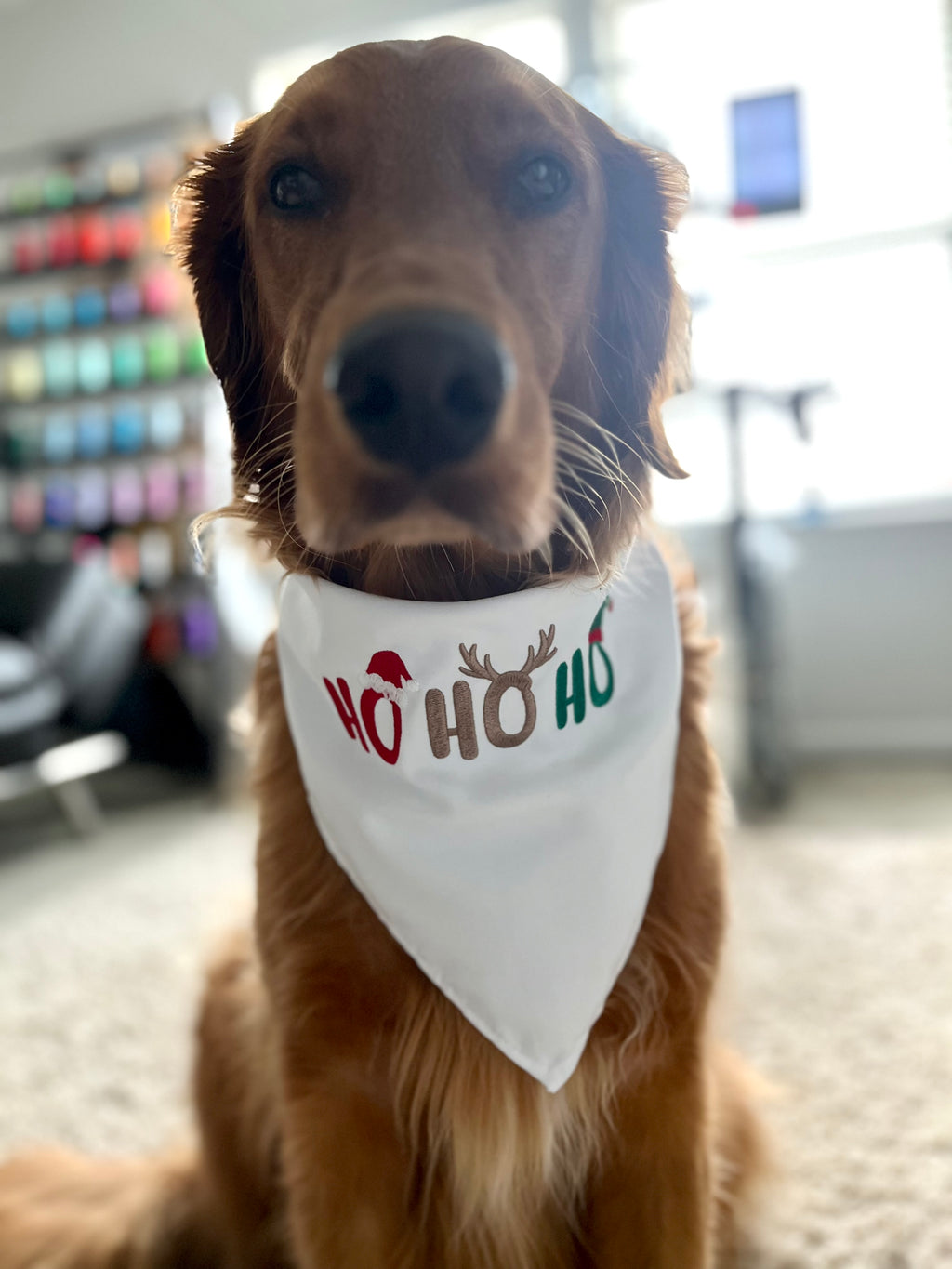 Ho Ho Ho Christmas embroidered Doggie Bandana