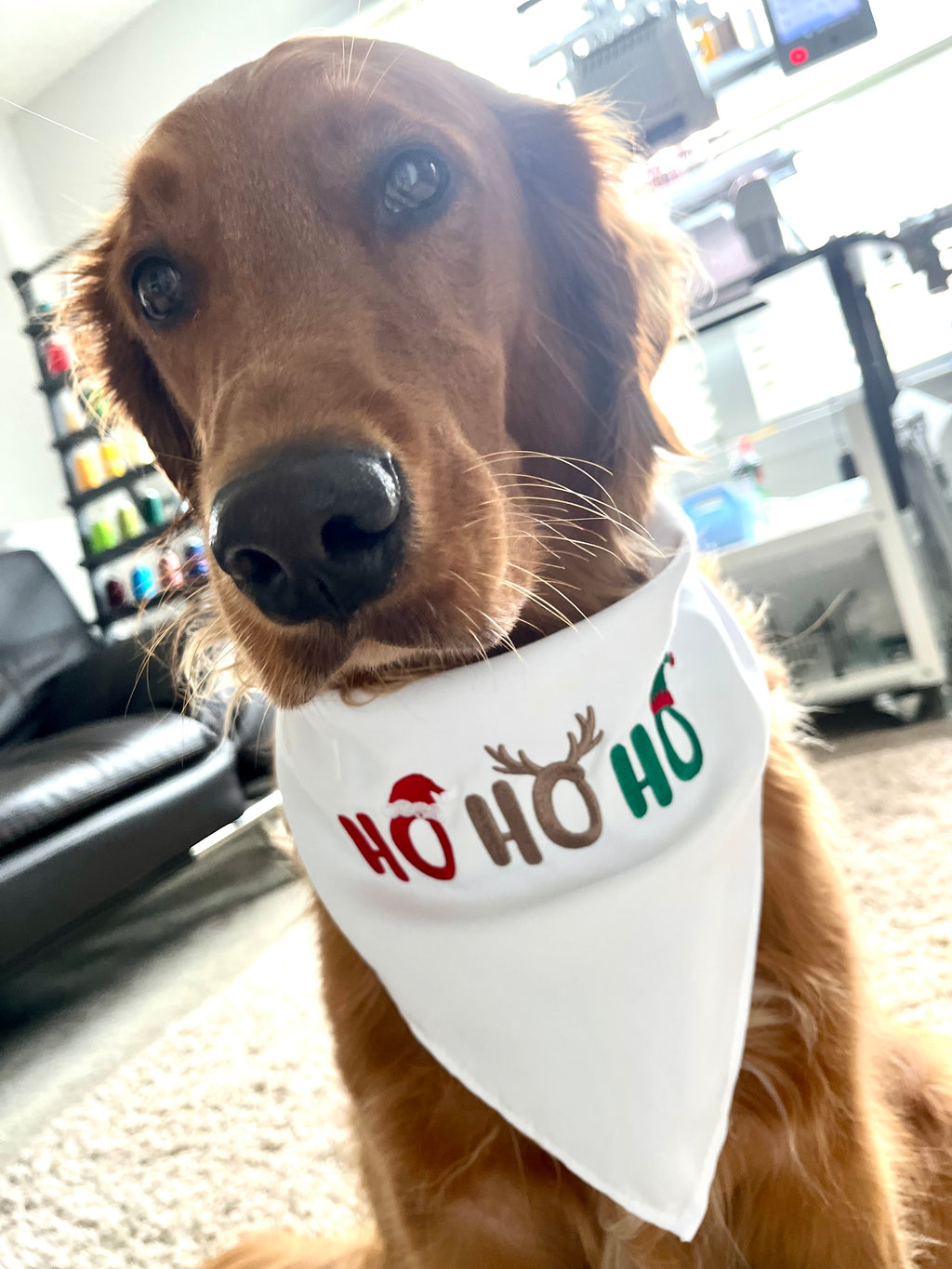 Ho Ho Ho Christmas embroidered Doggie Bandana